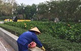 [ẢNH] Cờ đỏ sao vàng, biểu ngữ rợp trời Hà Nội mừng các ngày Lễ lịch sử của đất nước