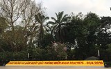 [ẢNH] Cờ đỏ sao vàng, biểu ngữ rợp trời Hà Nội mừng các ngày Lễ lịch sử của đất nước