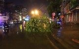 [ẢNH] Hà Nội: Phố thành 