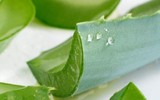 Cách trị mụn trứng cá hiệu quả đơn giản tại nhà