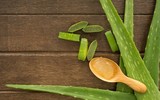 Một vài cách đơn giản trị ong đốt để giảm sưng và đau