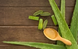 Một vài cách đơn giản trị ong đốt để giảm sưng và đau
