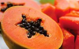 Một vài cách đơn giản trị ong đốt để giảm sưng và đau