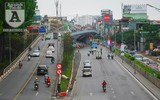 [Ảnh] Chiêm ngưỡng loài hoa 