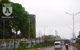 [Ảnh] Chiêm ngưỡng loài hoa 