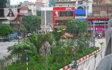 [Ảnh] Chiêm ngưỡng loài hoa 