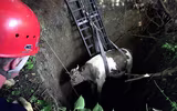 [ẢNH] Hãi hùng khi những hố tử thần khổng lồ 