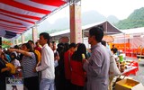 [Ảnh] 5.000 suất chay được phát tâm miễn phí cho các nhà sư, phật tử tại Đại lễ Vesak 2019