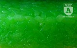 [Ảnh] Độc đáo màn trình diễn làm 
