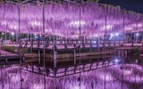 [ẢNH] Lạc bước nơi 