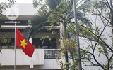 Kỳ lạ hoa sữa nở giữa mùa hè khắp phố phường Hà Nội