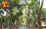 [ẢNH] Đường phố Hà Nội vắng hoe, người dân chống nắng kín mít vẫn ngại ra đường