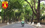 [ẢNH] Phơi mình mưu sinh dưới nắng 
