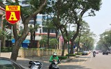 [ẢNH] Phơi mình mưu sinh dưới nắng 