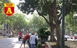[ẢNH] Phơi mình mưu sinh dưới nắng 