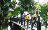 [Ảnh] Dù nắng nóng, hàng nghìn người vẫn đến viếng Lăng Chủ tịch Hồ Chí Minh