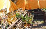 [ẢNH] Kỳ lạ ngôi làng Thái Lan, nơi người và rắn hổ mang là 