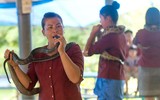 [ẢNH] Kỳ lạ ngôi làng Thái Lan, nơi người và rắn hổ mang là 