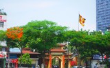 [Ảnh] Sắc phượng đỏ nở rợp trời Hà Nội, hàng trăm nghìn sĩ tử bước vào mùa thi