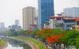 [Ảnh] Sắc phượng đỏ nở rợp trời Hà Nội, hàng trăm nghìn sĩ tử bước vào mùa thi