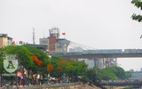 [Ảnh] Sắc phượng đỏ nở rợp trời Hà Nội, hàng trăm nghìn sĩ tử bước vào mùa thi