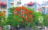 [Ảnh] Sắc phượng đỏ nở rợp trời Hà Nội, hàng trăm nghìn sĩ tử bước vào mùa thi