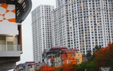 [Ảnh] Sắc phượng đỏ nở rợp trời Hà Nội, hàng trăm nghìn sĩ tử bước vào mùa thi