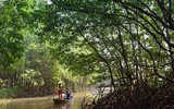 [ẢNH] Trước tôm hùm đất, sinh vật ngoại lai nào từng 