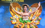 Những trang phục dân tộc Việt Nam từng chinh chến tại Miss Universe