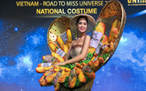 Những trang phục dân tộc Việt Nam từng chinh chến tại Miss Universe