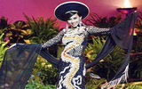 Những trang phục dân tộc Việt Nam từng chinh chến tại Miss Universe