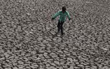 Người dân Ấn Độ vật vã chống chọi với nắng nóng gần 50 độ C