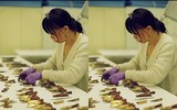 Chiêm ngưỡng tượng Phật Bà Quan Âm nghìn mắt nghìn tay trong bảo tàng ở Pháp