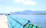 Pháo hoa quốc tế Đà Nẵng: Hình ảnh ấn tượng về cuộc so tài giữa Anh và Trung Quốc
