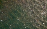 [ẢNH] Nắng nóng cao điểm: Người Hà Nội 
