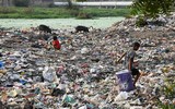 Nghạt thở trước cuộc sống trong 
