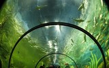 Những địa điểm tránh nóng tuyệt vời vào cuối tuần