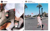 Tình trường và gia thế 