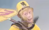 Nhặt 