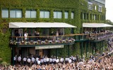 [ẢNH] Novak Djokovic: Vỡ oà giây phút đăng quang ngôi vương Wimbledon 2019