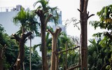 [Ảnh] Hành trình 