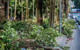 [Ảnh] Hành trình 