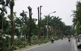 [Ảnh] Hành trình 