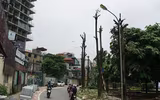 [Ảnh] Hành trình 