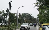 [Ảnh] Hành trình 
