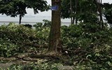[Ảnh] Hành trình 