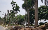 [Ảnh] Hành trình 