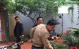 Lý giải nguyên nhân 