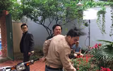 Lý giải nguyên nhân 