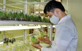 [ẢNH] Lưu ý: Những quy định quan trọng có hiệu lực từ tháng 8-2019